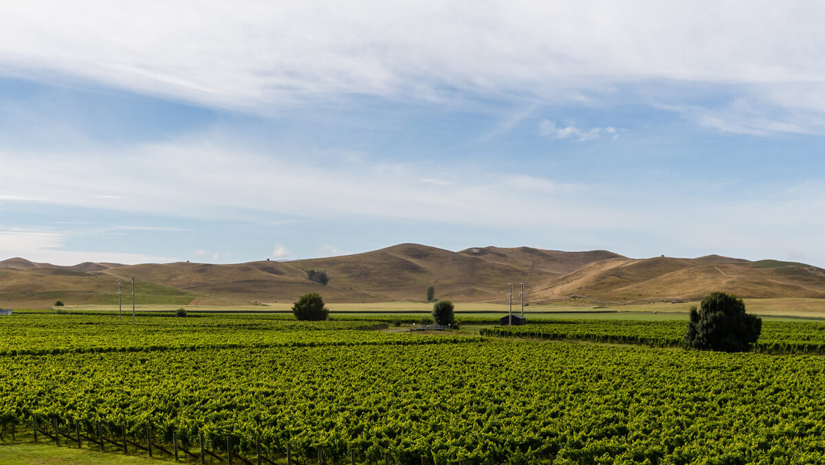 bridge-pa-triangle-img-1