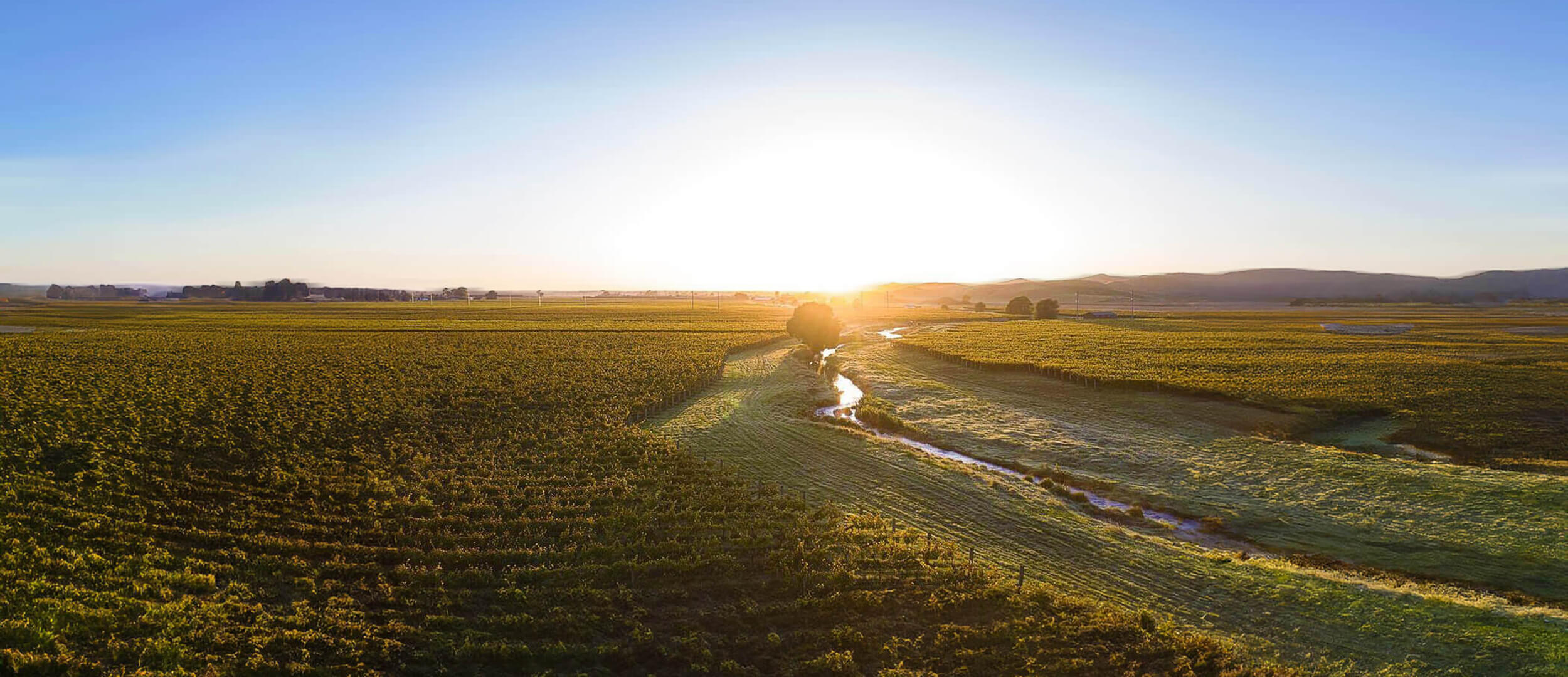 bridge-pa-triangle-img-lrg-1